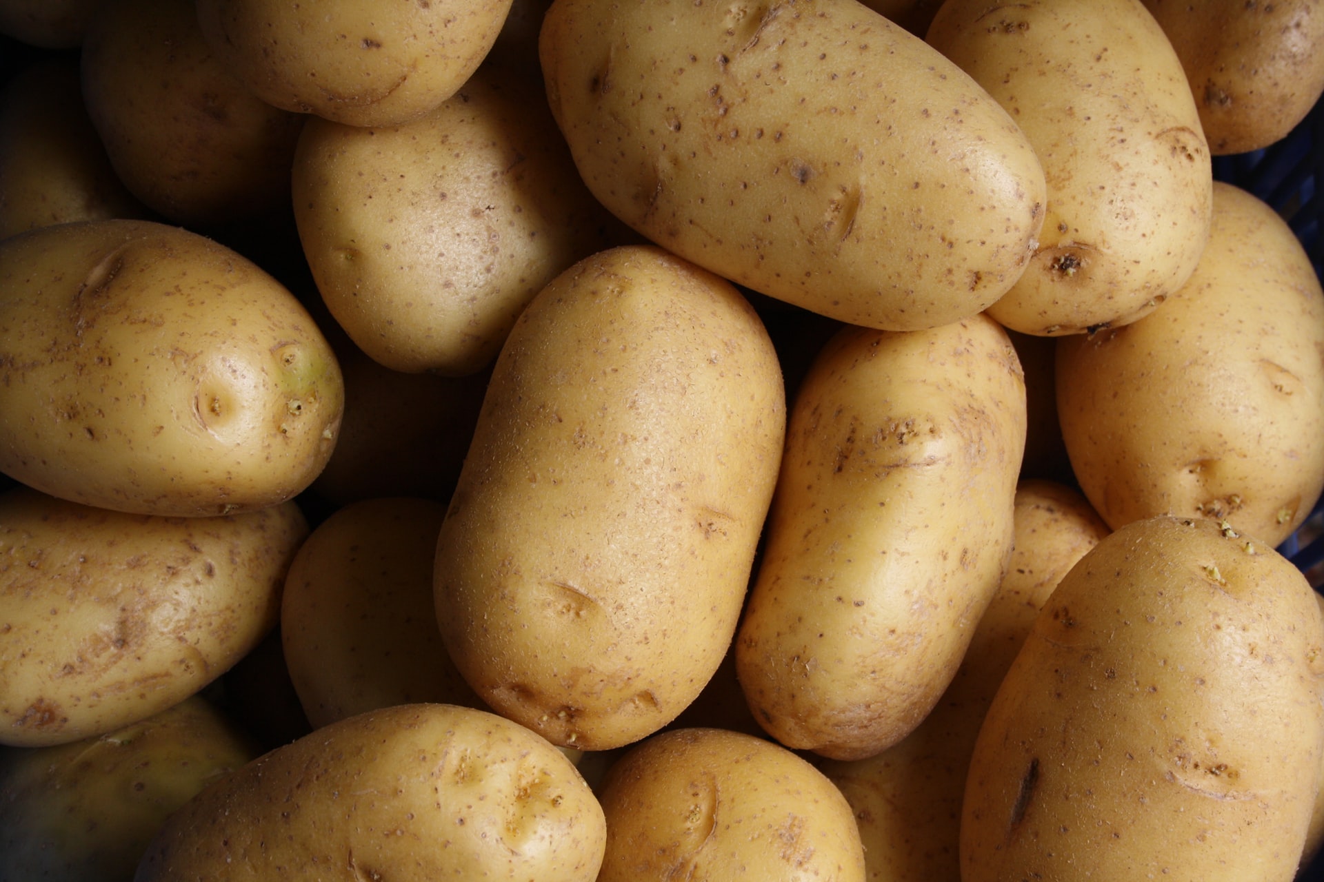 A picture of potatoes