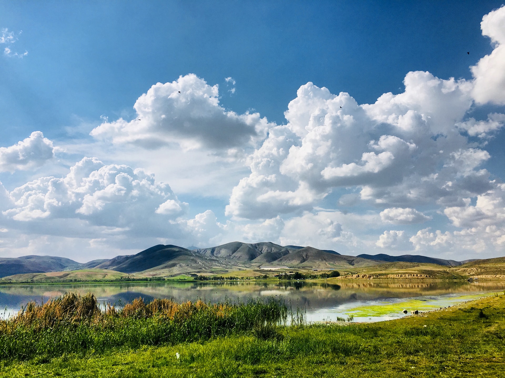 A sunny countryside